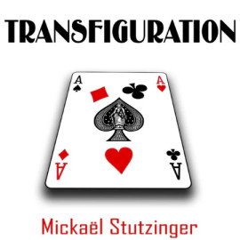 Transfiguration