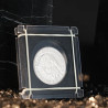 Coin Shackles TCC