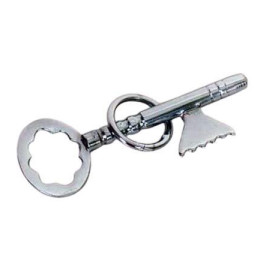 Puzzle Key and Ring Mystery
