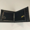Portefeuille en Feu Électronique ZAP