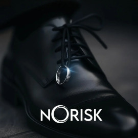 Norisk