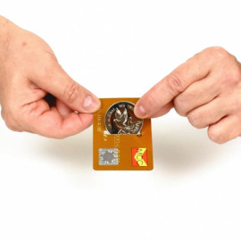 Coin through Credit Card