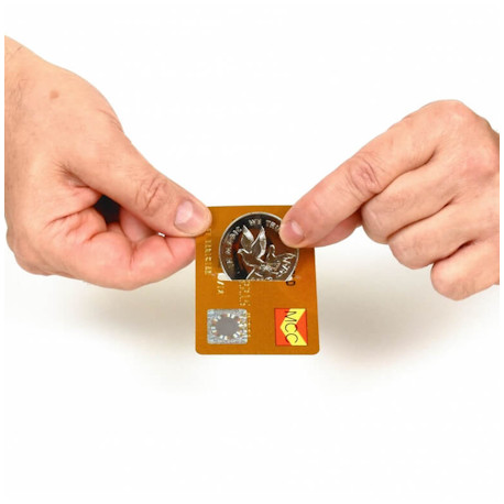 Coin through Credit Card