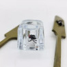 Phantom of Fly Swatter