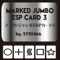 Marked Jumbo ESP Cards
