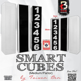Smart Cubes