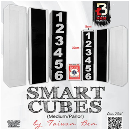 Smart Cubes