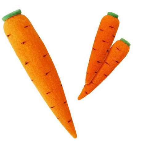 Multiplication des carottes - En mousse