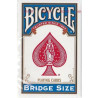 Bicycle Bridge Deck