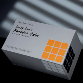 Crazy Sam's Paradox Cube