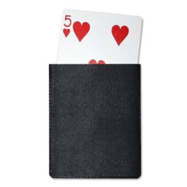 Etui plastique à cartes (simple)