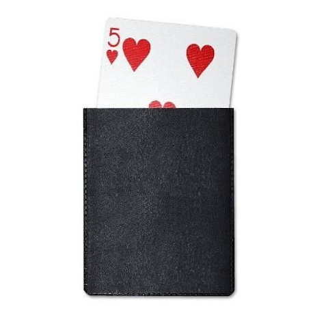 Etui plastique à cartes (simple)