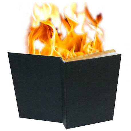 Flower and Fire Book