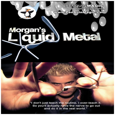 DVD Liquid Metal
