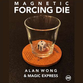 Magnetic Forcing Die