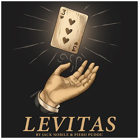 Levitas 2.0