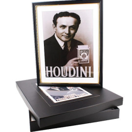 Houdini Prediction Frame