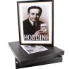 Houdini Prediction Frame