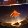 Fishbowl Production