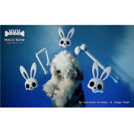 Magic Bones
