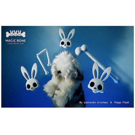 Magic Bones