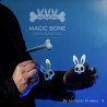 Magic Bones