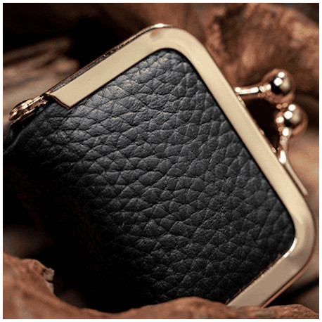Coin Bag