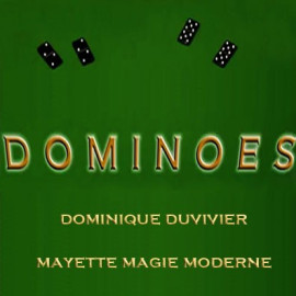 Les Dominos de Dominique Duvivier