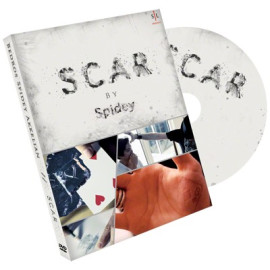SCAR (Gimmick inclus)