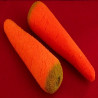 Carottes en mousse