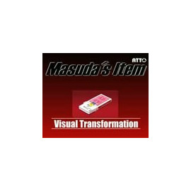 visual-transformation