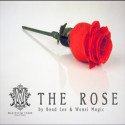 The Rose