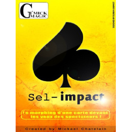 sel-impact
