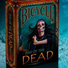 Bicycle Day of The Dead