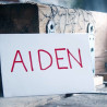 Aiden (DVD et Gimmicks)