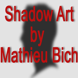 Shadow Art (Batman)